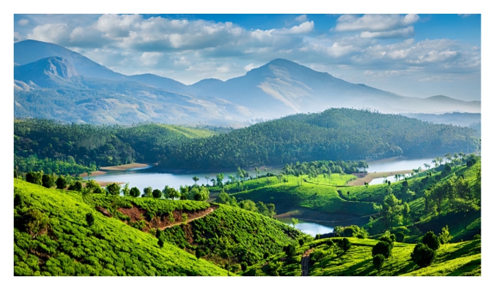 Munnar Hills
